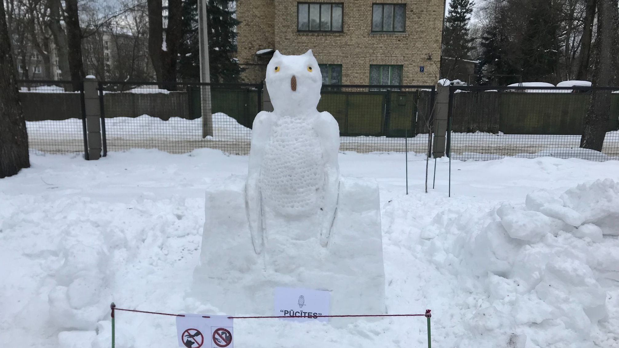 Aizraujošais ziemas laiks Rīgas 215. pirmsskolas izglītības iestādē