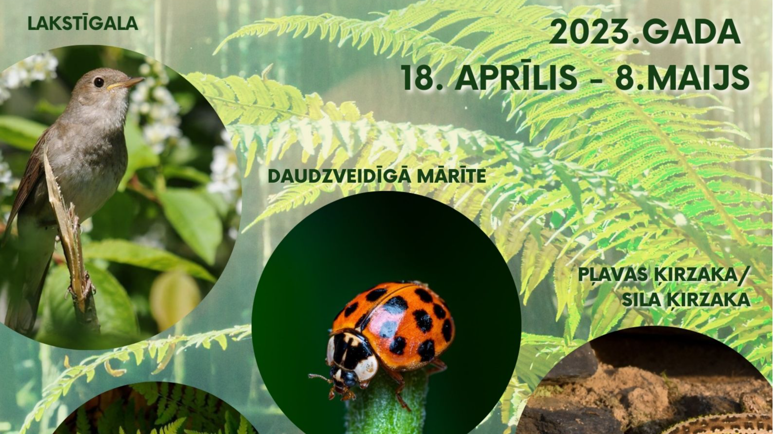 Vizuālās mākslas konkurss “Latvijas 2023. gada dzīvnieks, kukainis, putns un augs” 