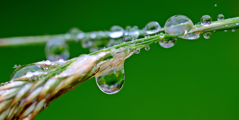 “Rīgas ūdens” aicina pieteikties "Ūdens akadēmijā"