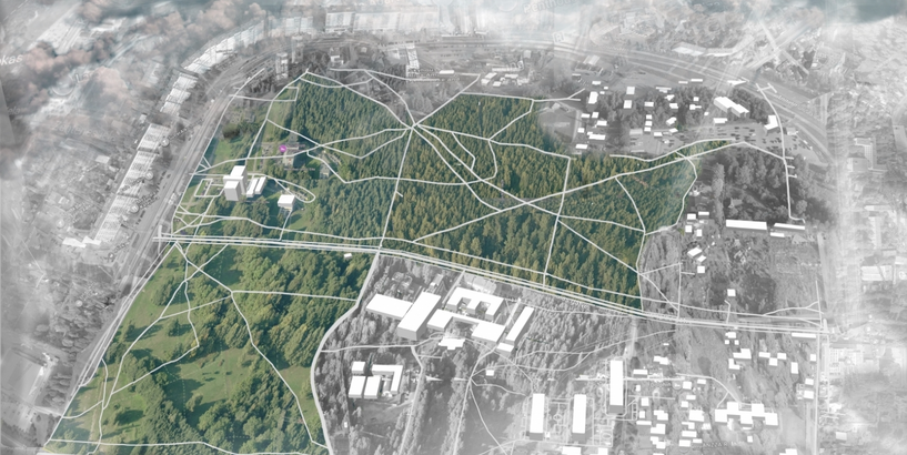 Rīgas līdzdalības platformā aptauja par Anniņmuižas mežaparku