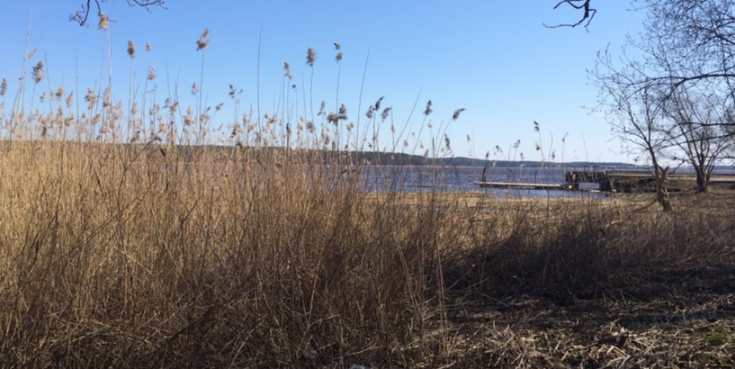 Lielā talka Strazdumuižā