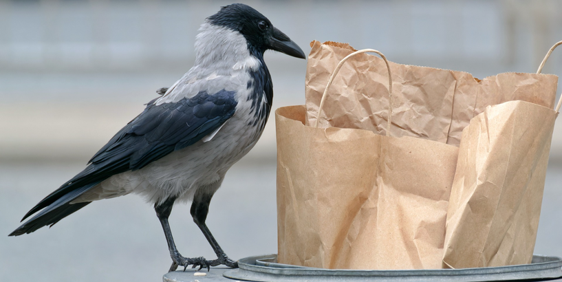 Pārtikas atkritumu samazināšana Rīgas pašvaldības skolās