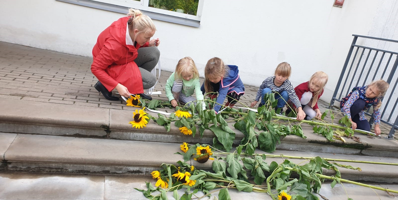 Vēja nedarbi pagalmā