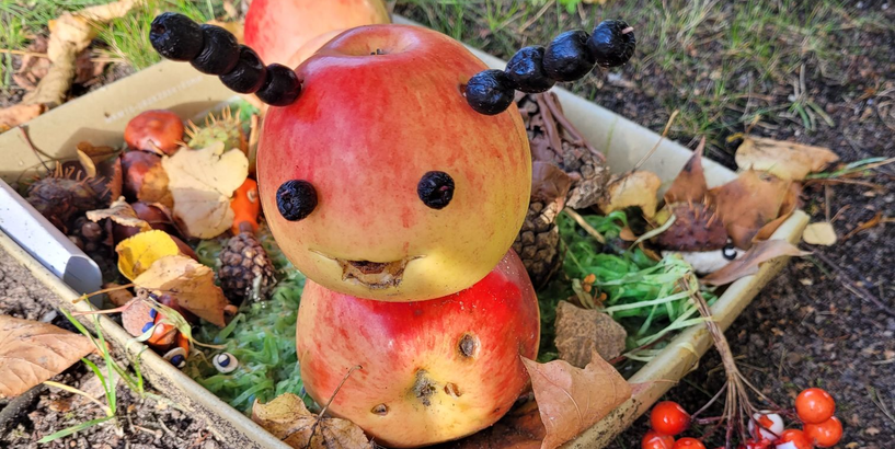 Rudens dārzeņu izstāde “Rudentiņš bagāts vīrs” 