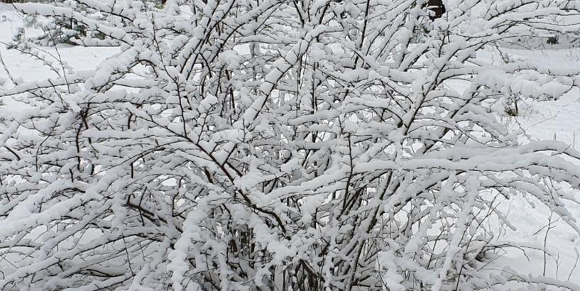 Izglītības iestāžu apmeklēšana aukstā laikā