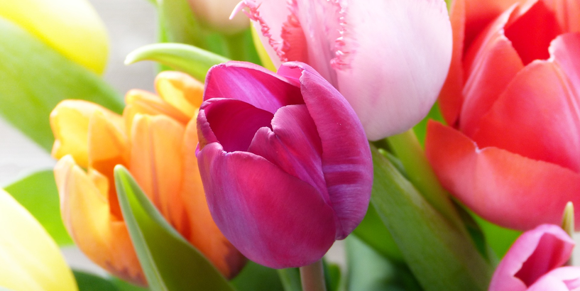 10. maijs - Mātes diena