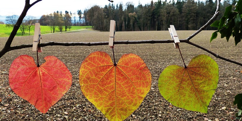 Aktivitātes skolēniem rudens brīvlaikā