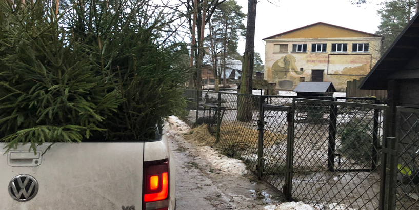 Ziemassvētku prieks ceļo uz Rīgas Zooloģisko dārzu