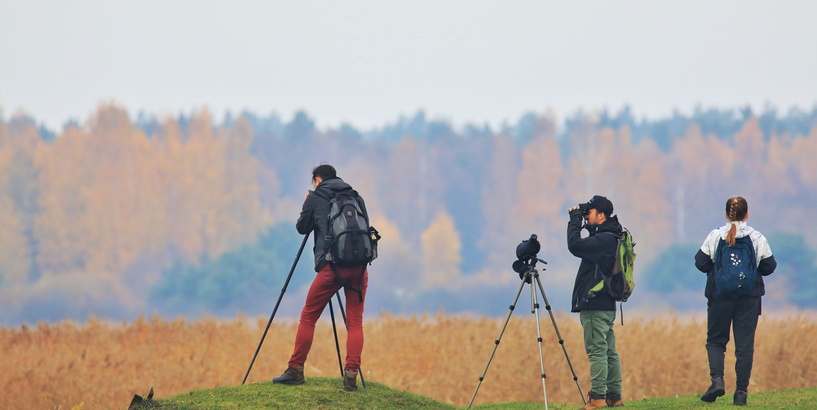Nedēļas nogalē Rīgā norisināsies Putnu dienas 2022
