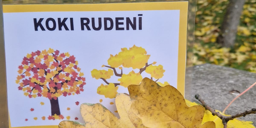Koku izmaiņas rudens periodā