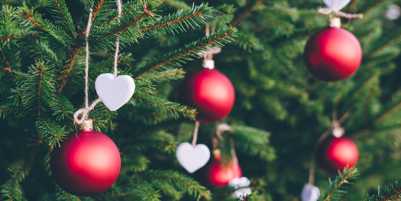 Latvijas Dabas muzejā notiks labdarības pasākumi