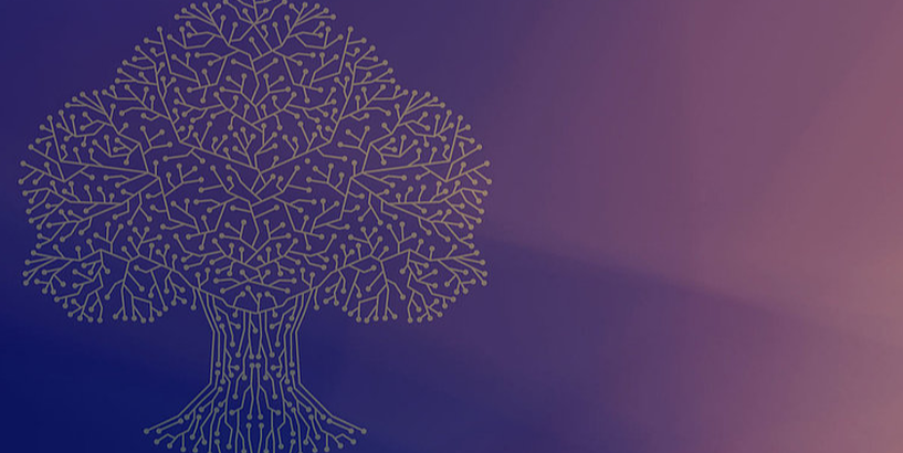 17. maijā – LU jauno studiju programmu atvēršanas svētki