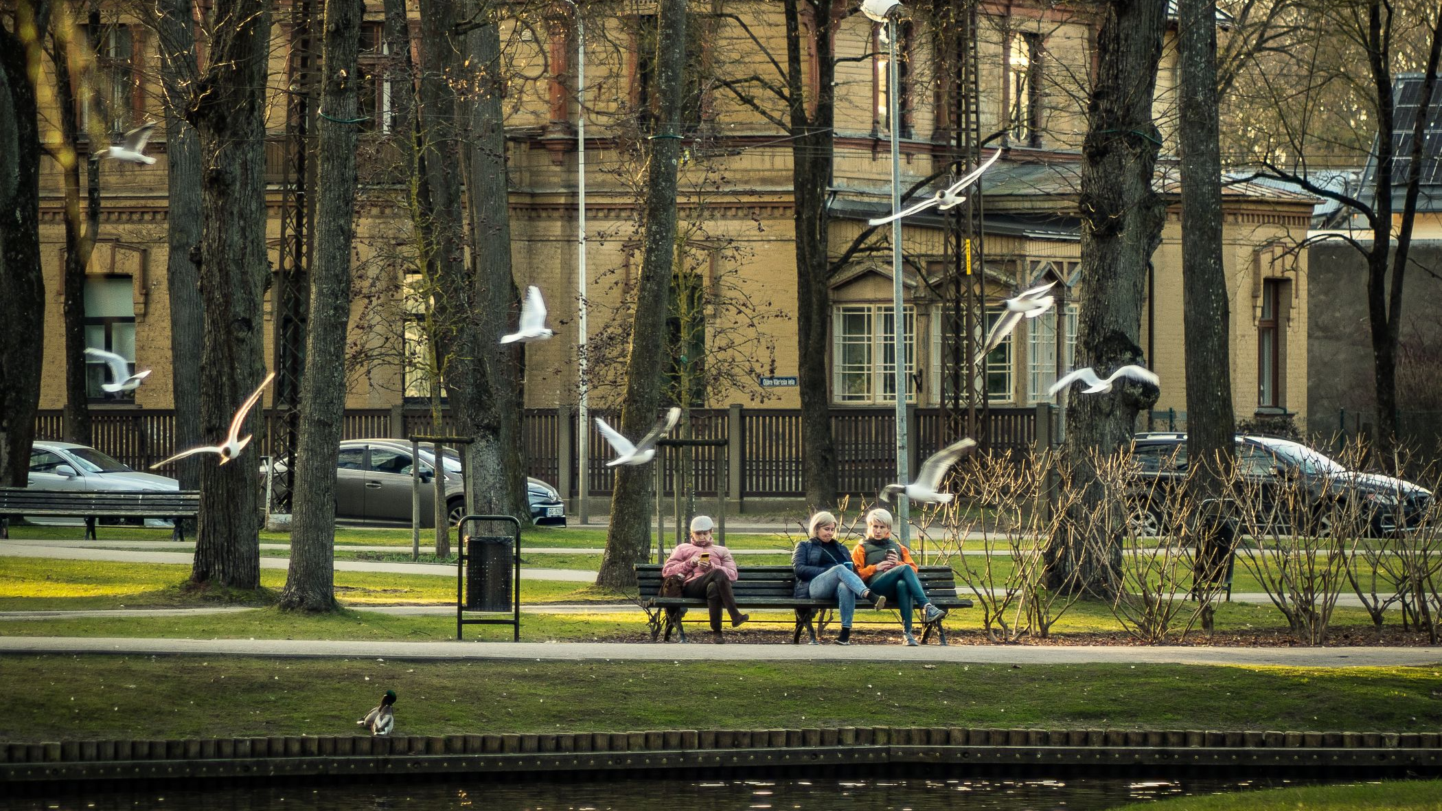 Noslēdzies Rīgas atklātais bērnu un jauniešu foto konkurss „Rīgas jaunā elpa – dzīvība parkā”