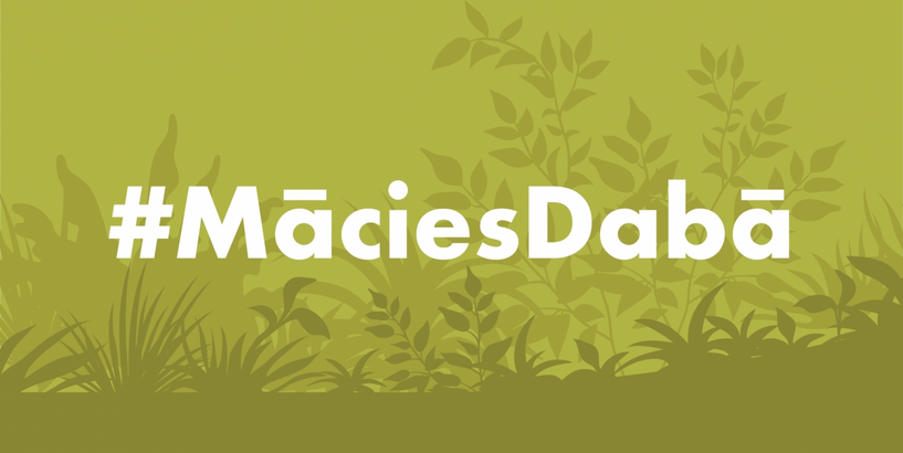 Svinot vasaras saulgriežus, mācies dabā!