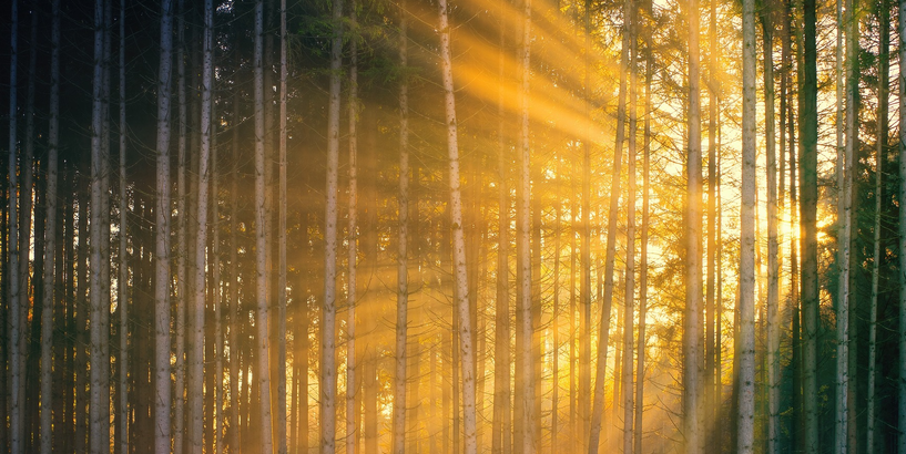 Aicina piedalīties Rīgas skolēnu foto konkursā “Gaisma”