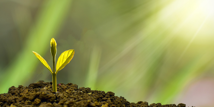 Izsludināts projektu konkurss jaunatnes organizāciju darbības atbalstam