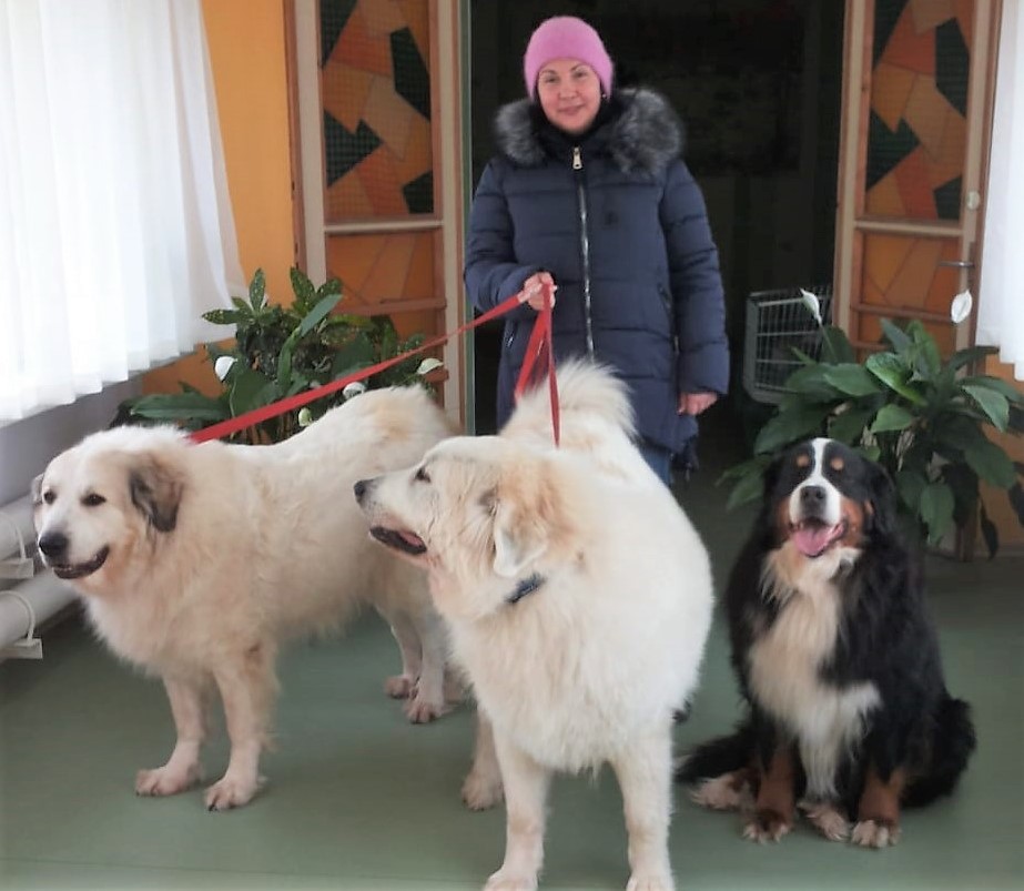 Rīgas 256. pirmsskolas izglītības iestādē viesojās ciemiņi no kanisterapijas biedrības „Maigais suns”