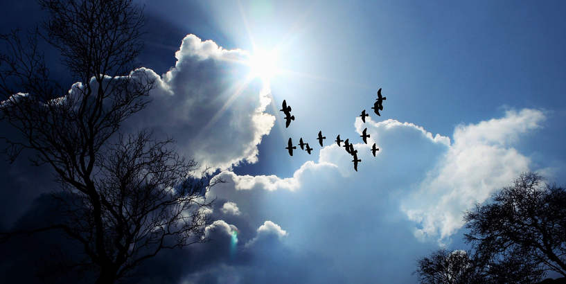 Nāc ārā labi justies! Kusties! 