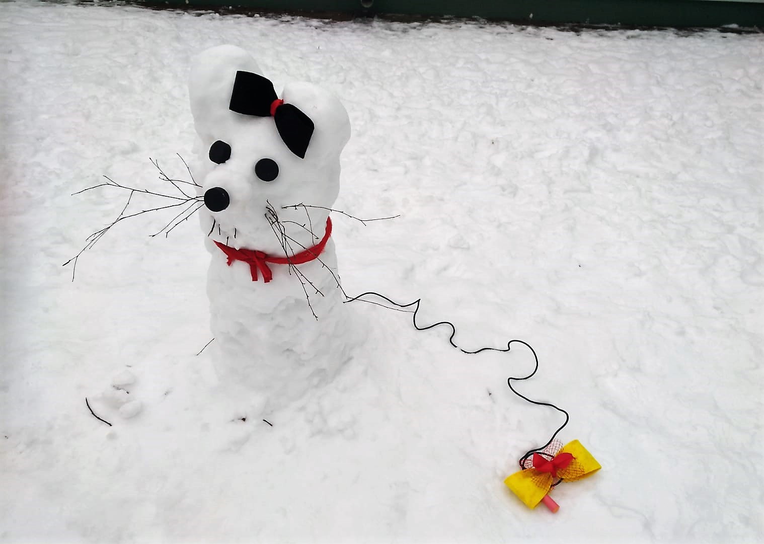 Sniega skulptūras un eksperimenti ar sniegu Rīgas 215.pirmsskolas izglītības iestādē