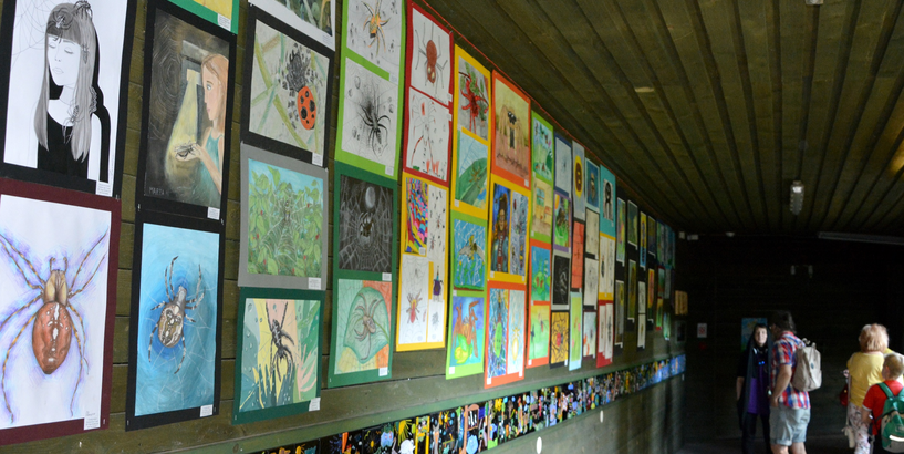 Mākslas izstāde „Latvijas dabā mītošie zirnekļi”