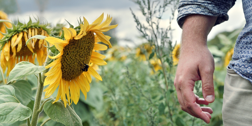 Aicina pieteikties Eiropas Kinoakadēmijas Jauniešu žūrijā