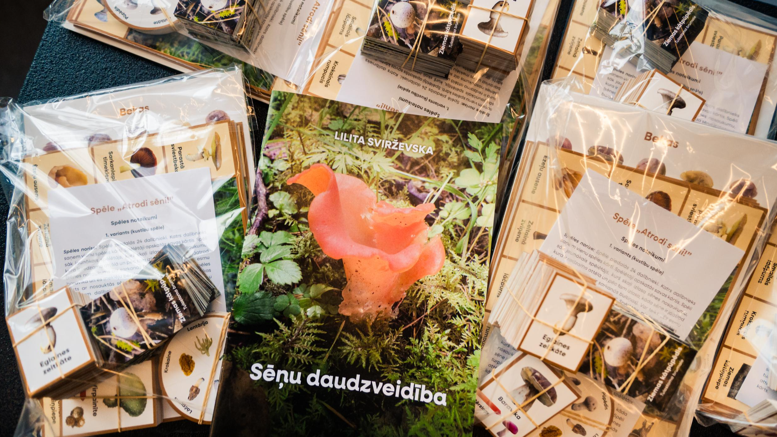 Pieejams jauns metodiskais materiāls interešu izglītības skolotājiem – “Sēņu daudzveidība”