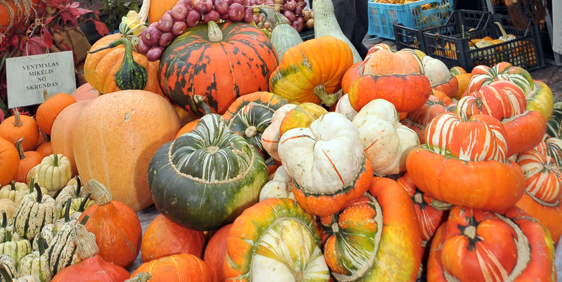 Miķeļdienas pasākumi Rīgā 