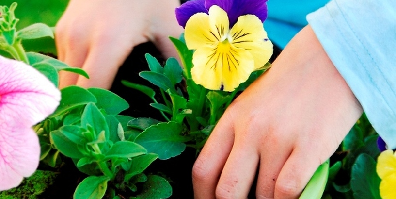 Pilnveides kursi vides izglītības un dabaszinību skolotājiem