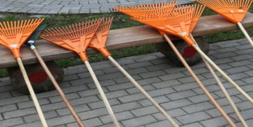 Rīgā izsludināts Spodrības mēnesis un Meža dienas