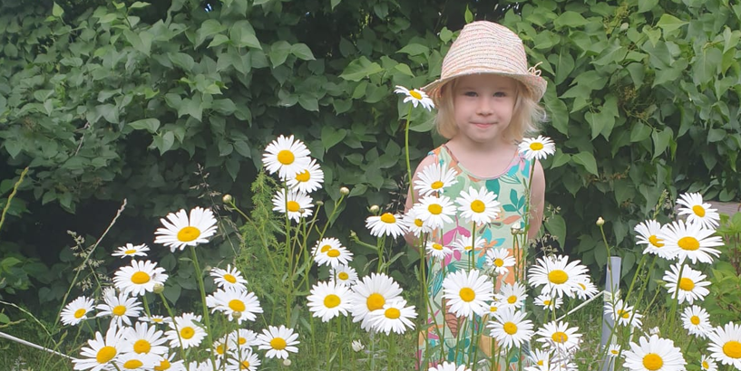 Svētku rotā dabiskās pļavas kvadrātmetrs