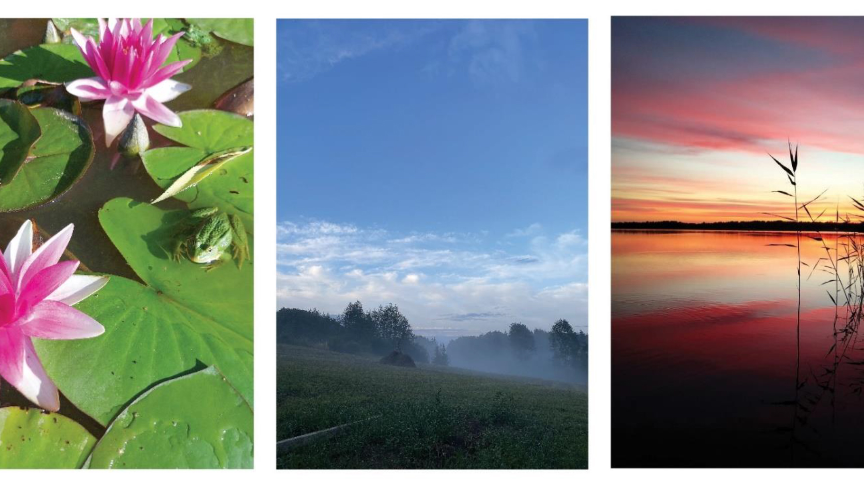 Bērnu un jauniešu ar kustību traucējumiem foto darbu izstāde “Klusums”