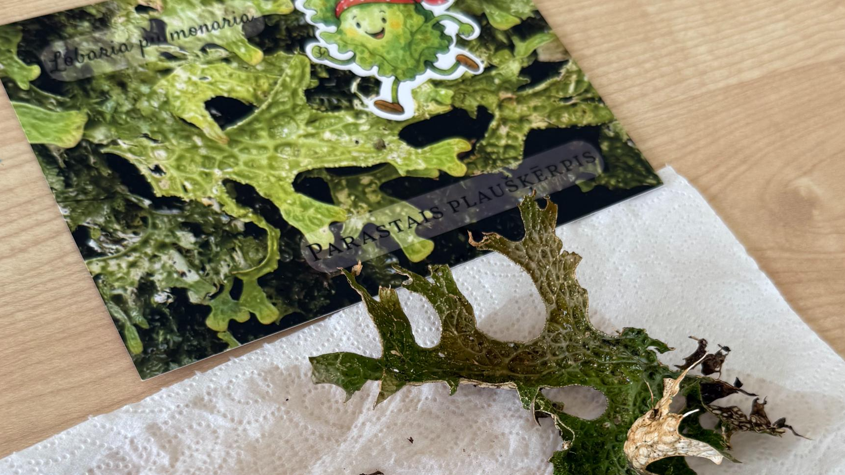 STEM Rīgas Skanstes pirmsskolā