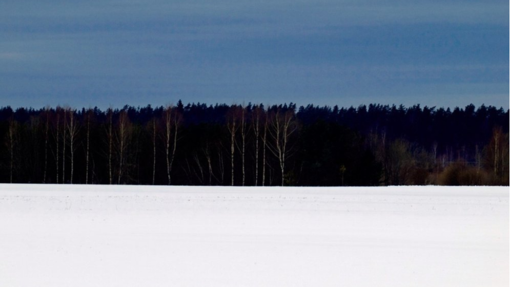 Igaunijas valsts 102. gadskārtai veltīts Latvijas dievturu sadraudzes pasākums 