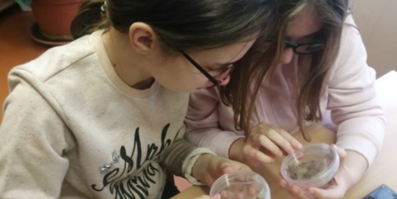 Daudzpusīgā un interesantā mežzinātne pētnieka acīm