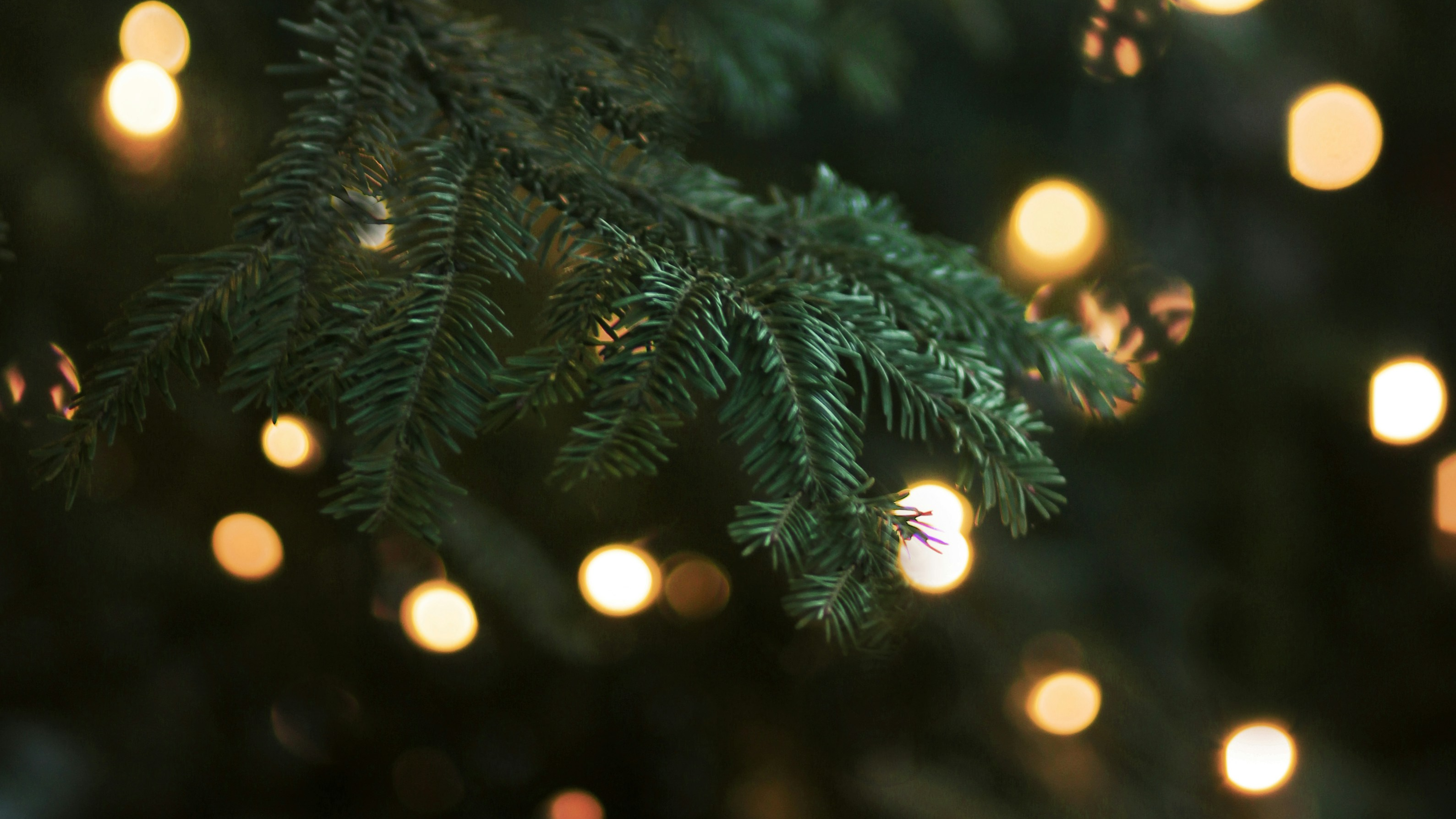 Otrajā adventē Rīgu pieskandinās dažādas koncertprogrammas 