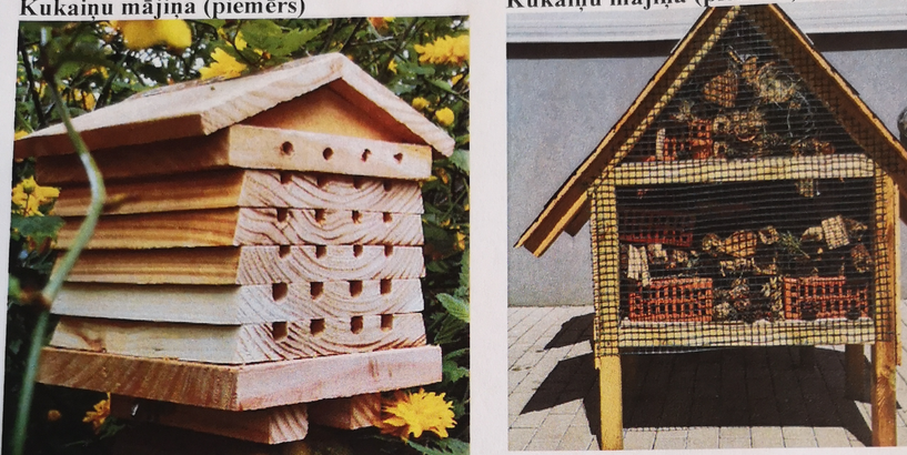 Apbalvoti konkursa “Manas idejas top Rīgā” uzvarētāji