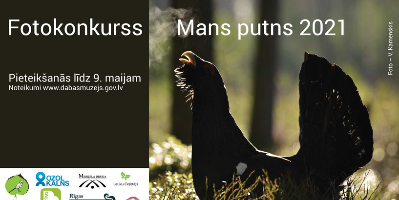 Dabas muzejs aicina putnu fotogrāfus piedalīties konkursā 