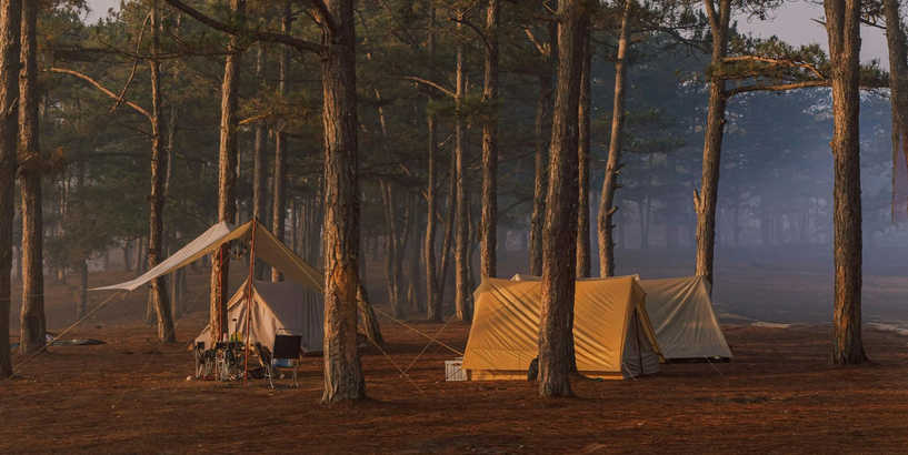 Izstrādāts ceļvedis vecākiem “Bērniem drošas nometnes izvēle”