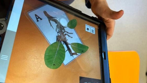 STEM projekts - “Skudru valstība”