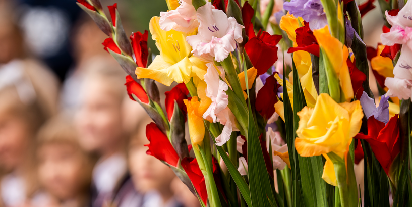 Zinību diena Rīgas pašvaldības iestādēs