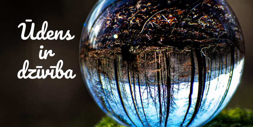 Afišā ūdenspiliens, kurā atspoguļojas zeme, koki, debesis