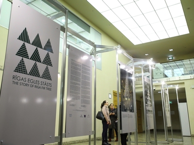 f64_20191205_izst_003.jpg