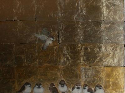 Ineta Freidenfelde_Dzimta. Pils?tas e??e?i_web.jpg