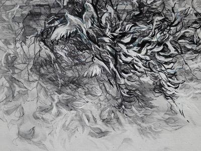 Lauma Palmbaha_Melnbaltais pavasaris_web.jpg