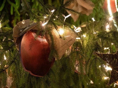 f64_riga_egle_20201129_26.jpg