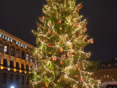 f64_riga_egle_20201129_47.jpg