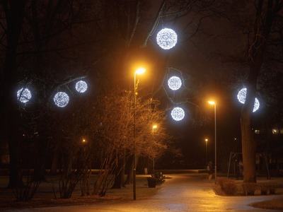 f64_Viestur_darz_20201223_006.jpg
