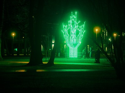 f64_Viestur_darz_20201223_007.jpg