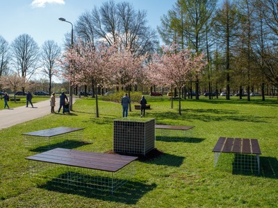 UZvar_park_09.jpg