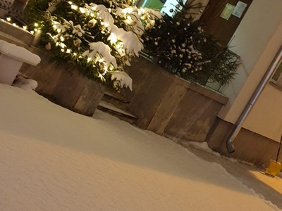 PHOTO-2021-12-22-11-02-56 (2).jpg